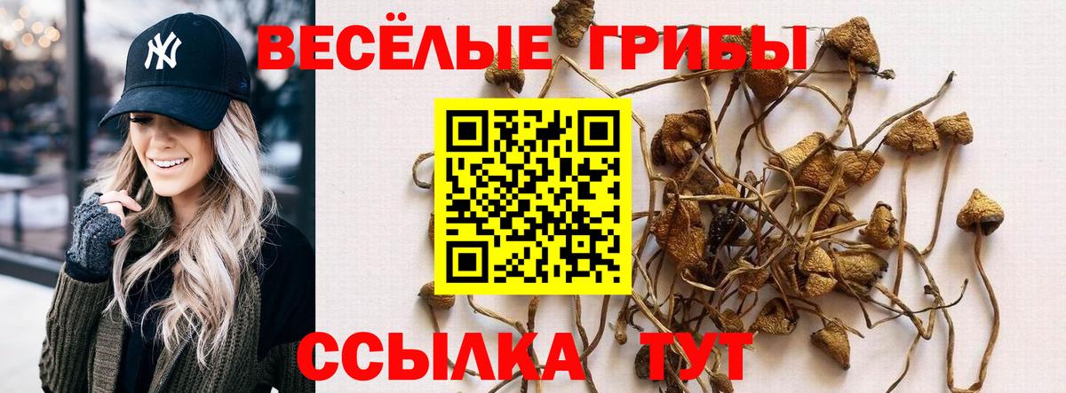 Галлюциногенные грибы прущие грибы  Вход с VPN  Ирбит 