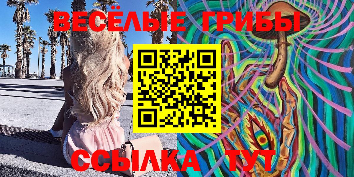 Псилоцибиновые грибы Cubensis Ирбит